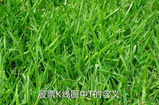 股票K线图中T的含义