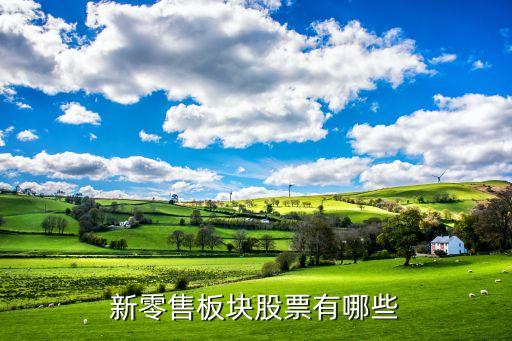 新零售板块股票有哪些