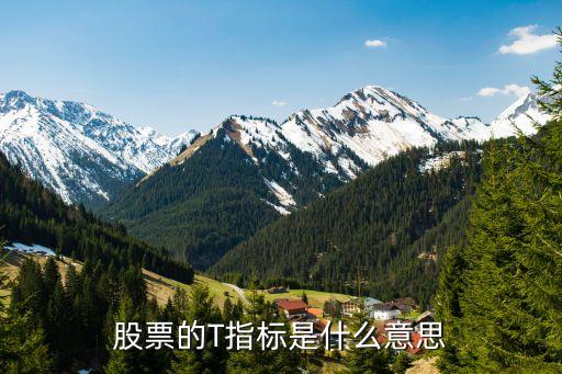 股票里面的t是什么意思啊，股票的T指标是什么意思