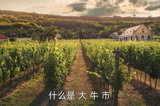 什么是 大 牛 市