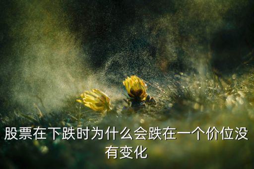 为什么股票一跌就不涨了，中国股市为什么只跌不涨