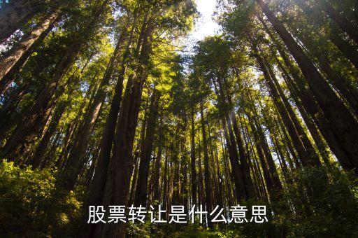 股票转让是什么意思