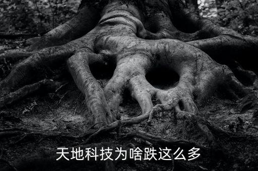 天地科技为啥跌这么多