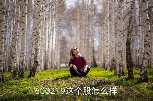600219这个股怎么样