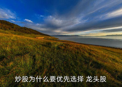 炒股为什么要优先选择 龙头股