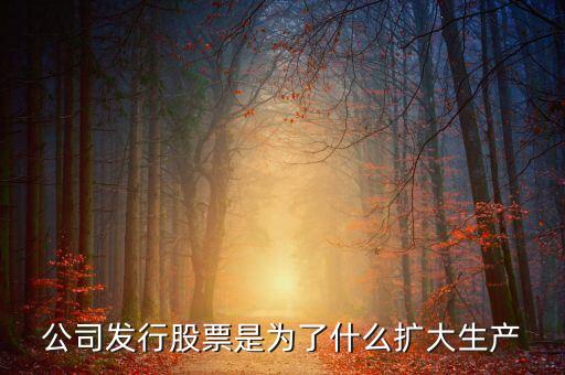 公司发行股票是为了什么扩大生产