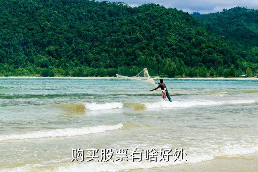 购买股票有啥好处