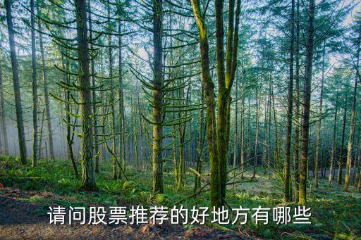 请问股票推荐的好地方有哪些