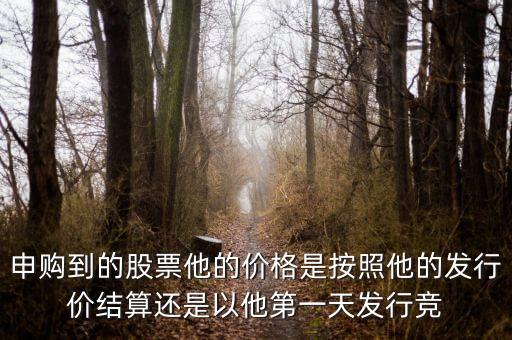中签的股票价格按什么算，第一次中新股 要扣多少钱 怎么算
