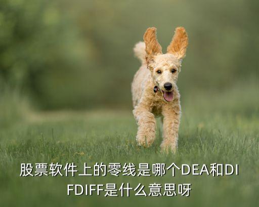 股票软件上的零线是哪个DEA和DIFDIFF是什么意思呀