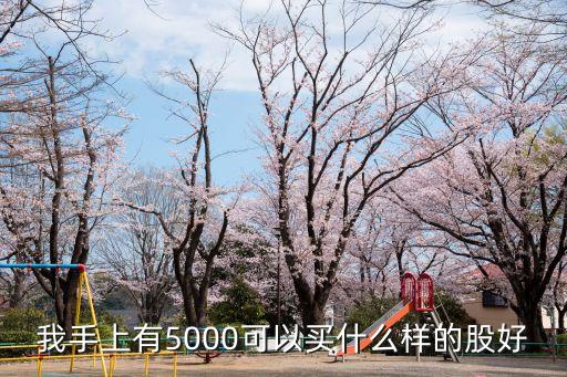 我手上有5000可以买什么样的股好