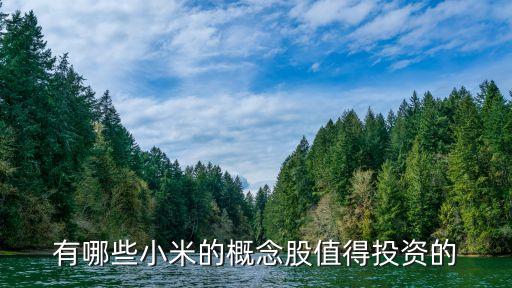 有哪些小米的概念股值得投资的