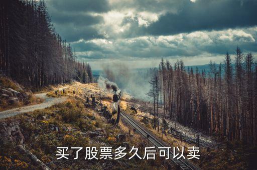 买了股票多久后可以卖