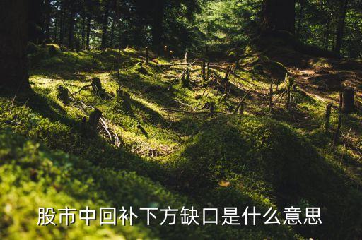 股票回补缺口是什么意思呀，股票中的补缺口是什么意思