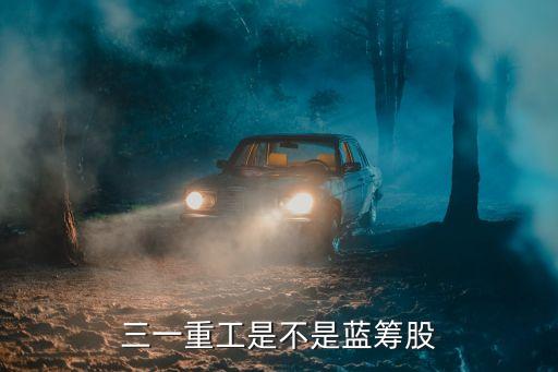 三一重工是不是蓝筹股