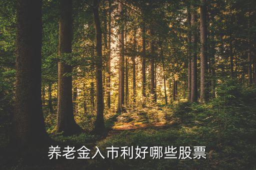养老金接下来买什么股票，养老股票有哪些