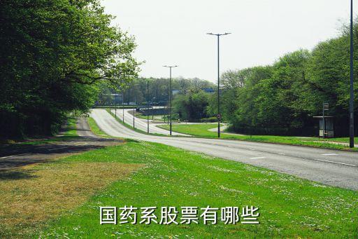 中国医药是什么类型的股票，谁知道中国医药这个股属于大蓝筹是医药的龙头