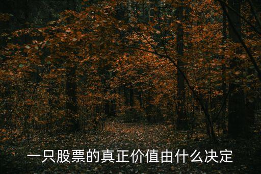 股票价值由什么决定的论文，股票价格的影响因素
