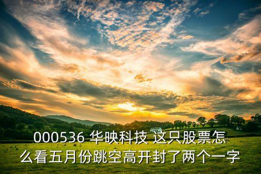 股票华映科技是做什么的，000536 华映科技 这只股票怎么看五月份跳空高开封了两个一字