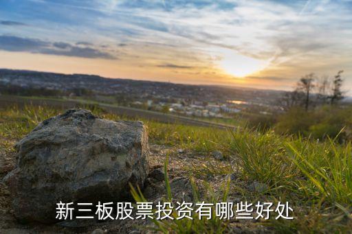 新三板股票投资好处是什么，投资新三板股权的好处是