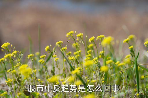 一类股票逆势崛起什么意思，逆势是什么意思