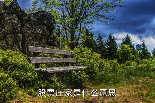 股票庄家是什么意思
