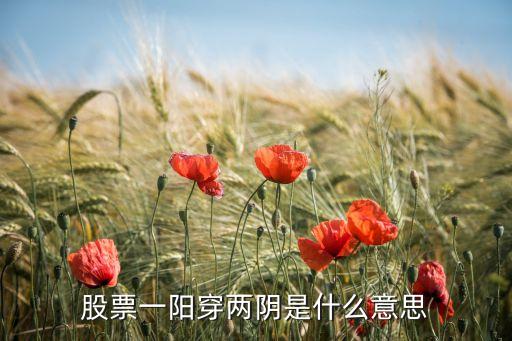 股票次阳过半阴是什么意思，K线三连阳后面出现了小阴是什么意思