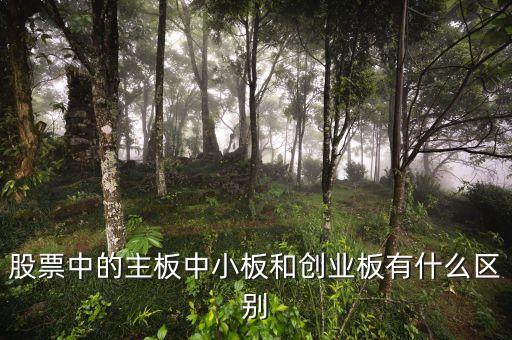 股票中的主板中小板和创业板有什么区别