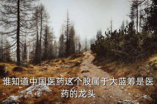谁知道中国医药这个股属于大蓝筹是医药的龙头