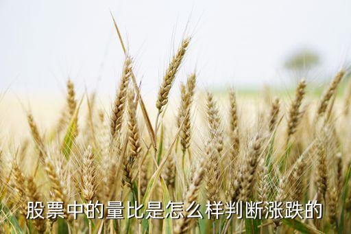 股票中的量比是怎么样判断涨跌的