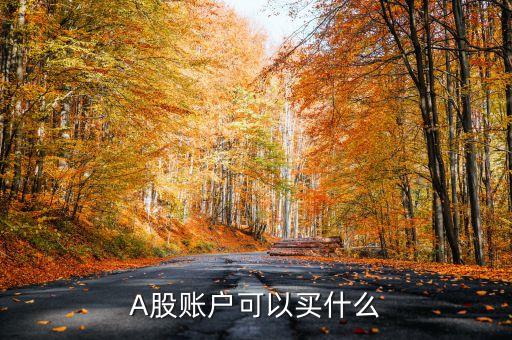 A股账户可以买什么