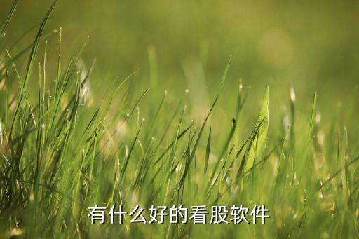 有什么软件看到一支好股票，有什么好的看股软件